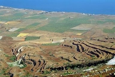 farming in greece