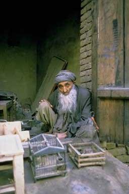 merchant