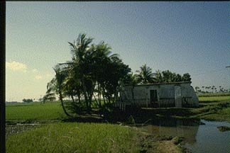 Rural Temple