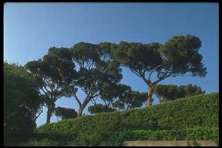 Borghese Gardens