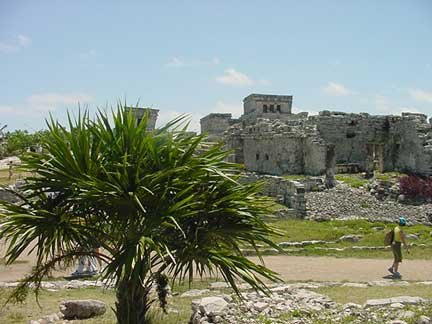 Tulum main area with tree in foregound