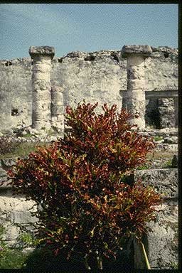 tulum
