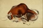 Cave Art Painting