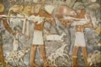 Egyptian Tomb Painting