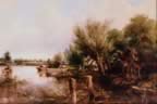 502041.jpg (691kb)