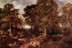 502072.jpg (116kb)