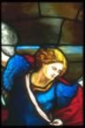 Stain Glass Windows