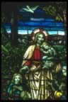 Stain Glass Windows