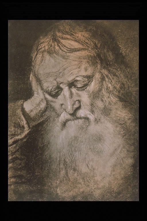  Titian