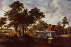 492050.jpg (130kb)