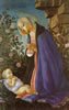 Sandro Botticelli, Virgin Adorring Sleeping Child