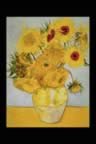 Vincent Van Gogh