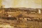 Vincent Van Gogh