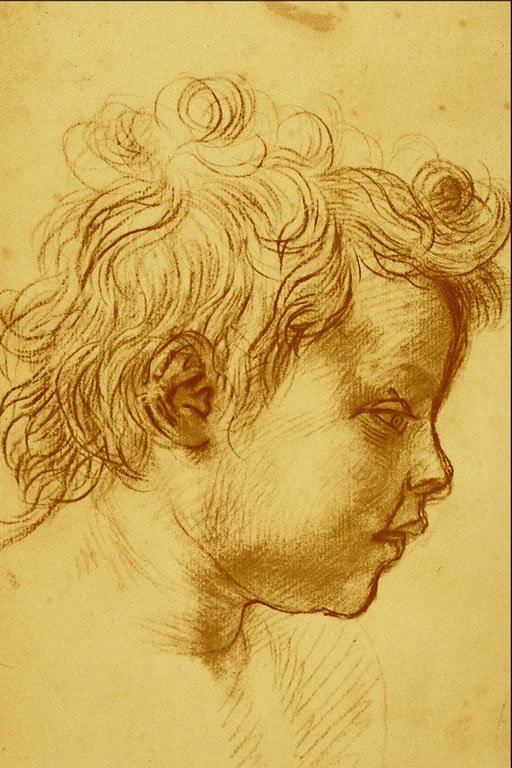  Andrea del Sarto