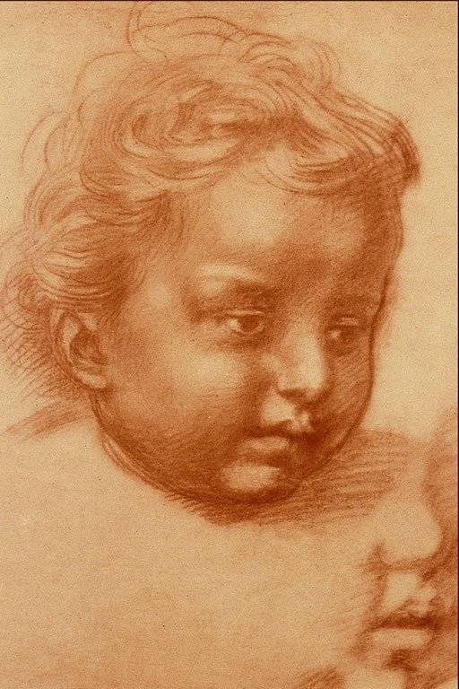  Andrea del Sarto