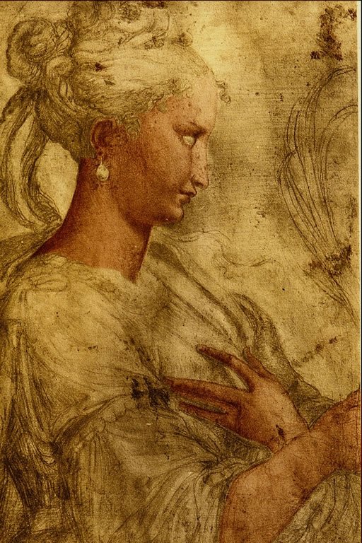  Parmigianino
