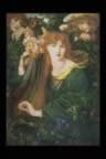 rosse402044.jpg (68kb)