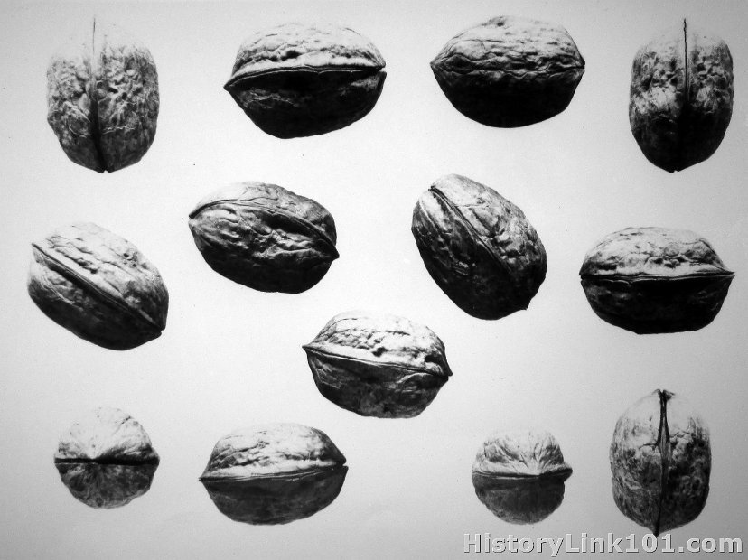 Walnuts