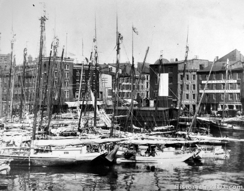 Oyster Fleet in Baltimore Harbor