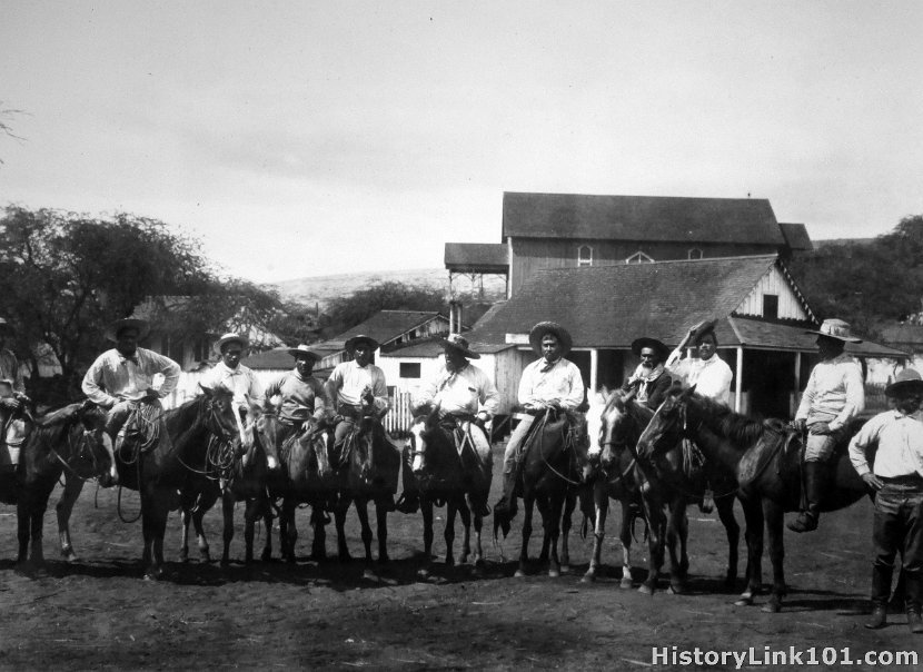 Hawaiian Cowboy, Wimea