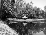 4-j-IMG_1625.JPG