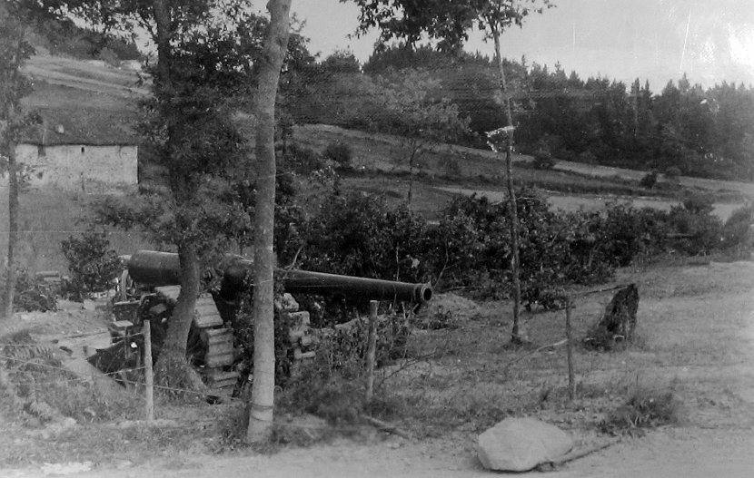 Spanish Heavy Artillery Camouflaged