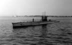 IMG_6638_s2.jpg (46kb)