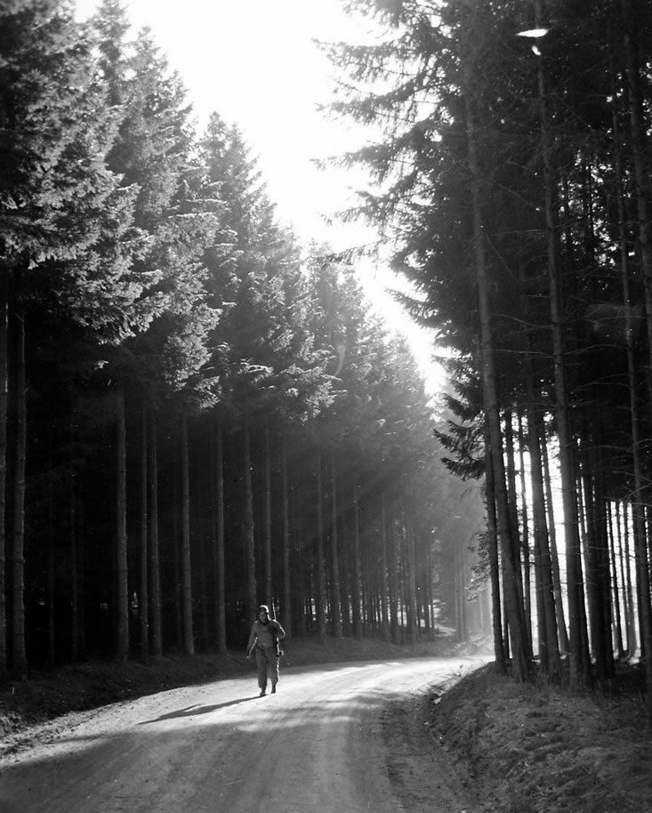 An American walks along tree lined road