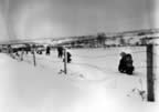 PICT2466.jpg (73kb)