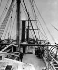 argo_PICT4395_st3.jpg (53kb)