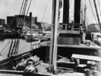 Herm_PICT4482_st3.jpg (85kb)