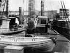 Quin_PICT4607_st3.jpg (81kb)