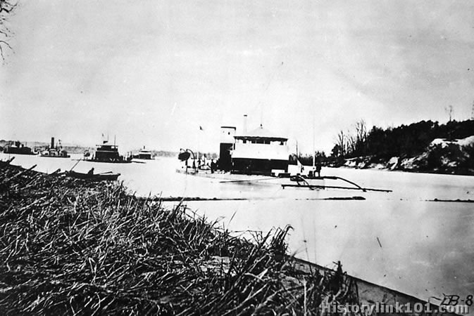 Monitor in Trent's Beach