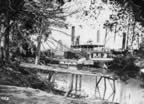 PICT4375_st3.jpg (122kb)