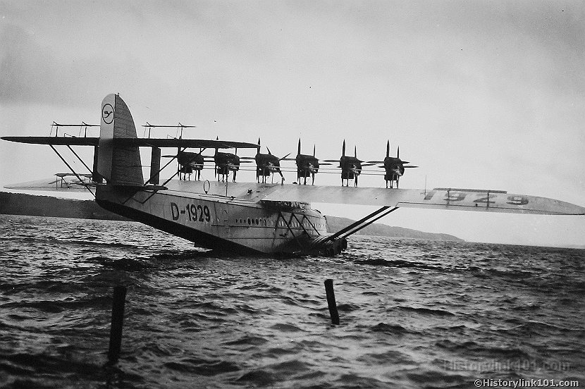 German Amphibian Back