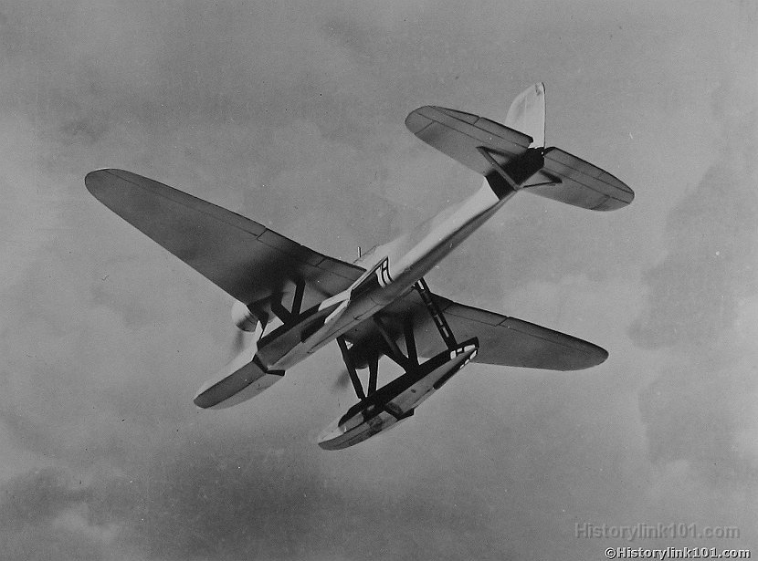 Heinkel He 115 from below