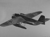 IMG_0293_e3.jpg