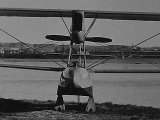 IMG_6995_e2a.jpg