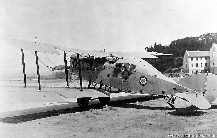 Allion - Passenger Carring airplane