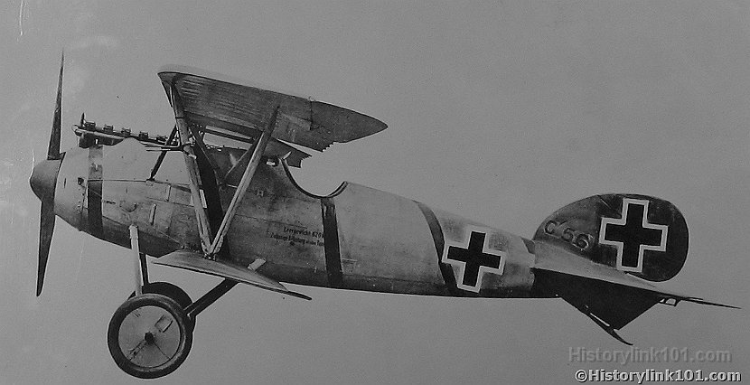 Albatross Scout D. 5