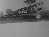 IMG_6443_e2.jpg