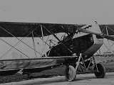 IMG_6472_e2.jpg