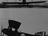 IMG_6499_e2.jpg