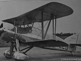 IMG_6506_e2.jpg