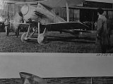 IMG_6555_e2.jpg