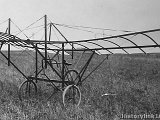IMG_7463_e3.jpg