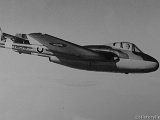 IMG_7719_e3.jpg