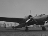 IMG_0028_e3.jpg