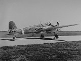 IMG_0423_e3.jpg