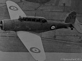 IMG_6629_e2.jpg